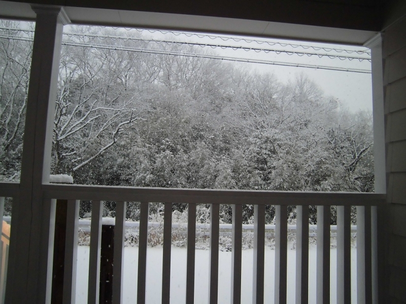ﾏｲﾎｰﾑ日記    〜雪化粧～