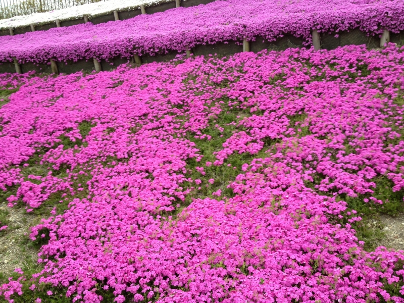 家づくりを始める前にすべきこと！