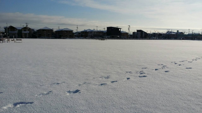 2016年のキーワードは「空気」！